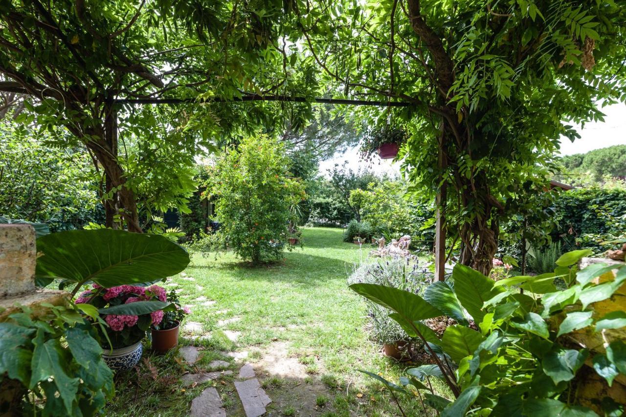B&B Casa Marconi Pisa Exteriör bild